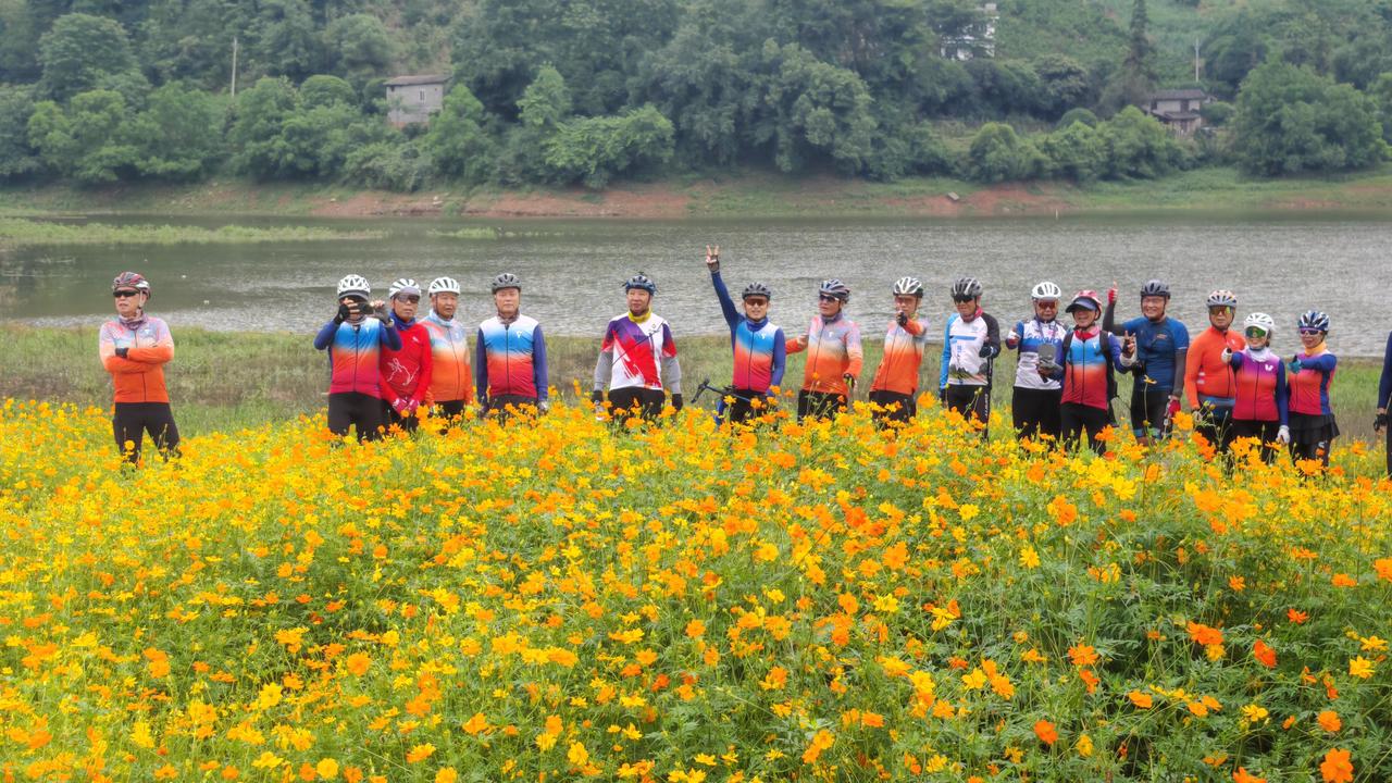 《家乡美：金宝久大水库夏日花影》2026.5.29手机摄影