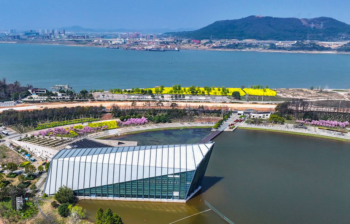 鸟瞰中山舰博物馆内的油菜花海