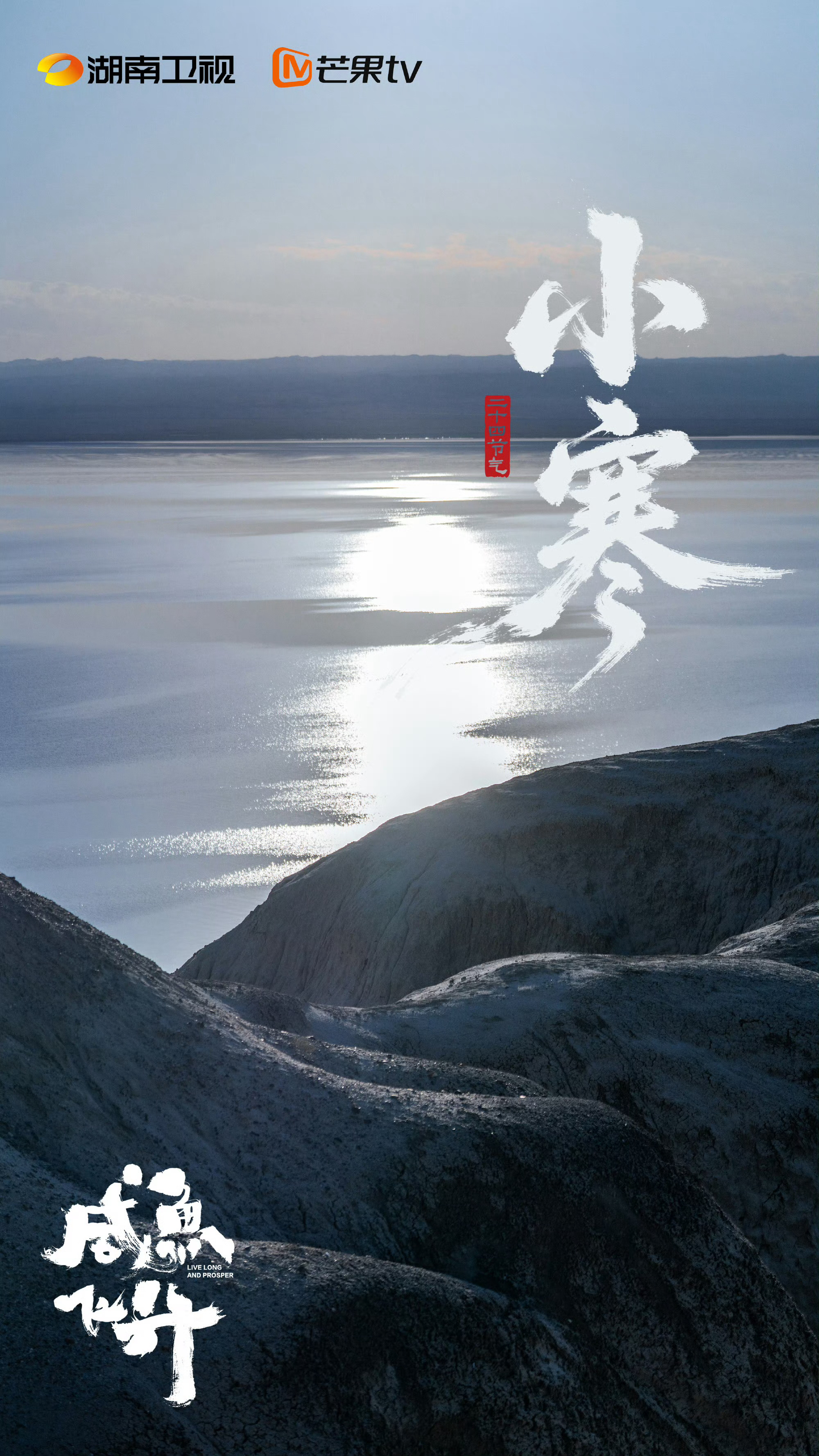 王鹤棣咸鱼飞升小寒海报 