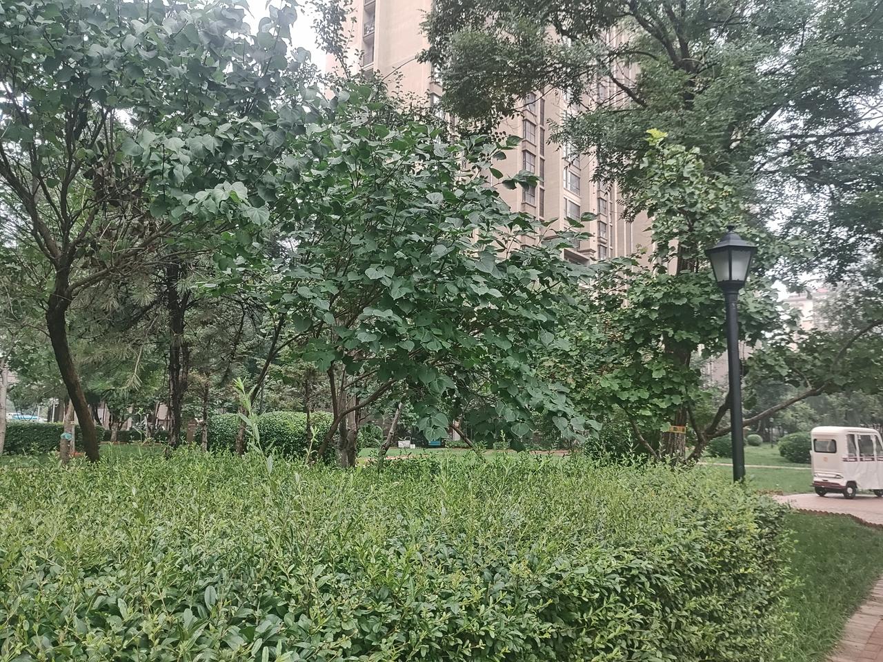 7月16日星光L即将上市✨
雅致中式外观，
宽大六座空间容纳阖家同行
环保座舱安