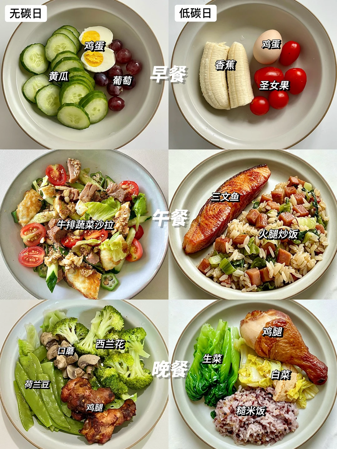 靠碳循环从120➡️88｜基本上很少饿肚子啊啊啊