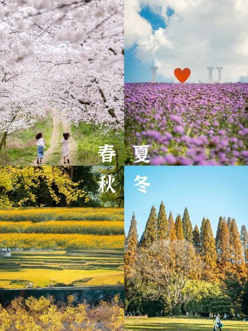 上联：吃东西南北菜，求下联赏春夏秋冬景