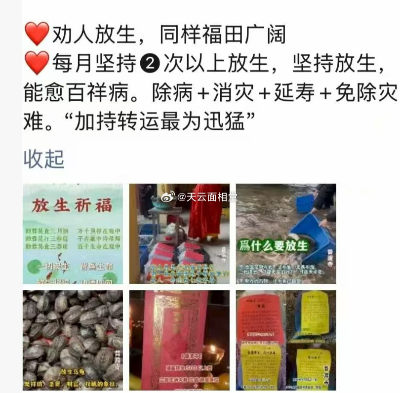 施小善，积大德。逆缘变为顺缘 ，为自己家人孩子息灾，增福。为自己积福报，放生就是