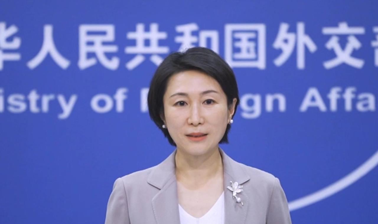 沉默整整9天，毛宁一锤定音，中国军队依法依规全程跟监警戒，有效应对处置

202