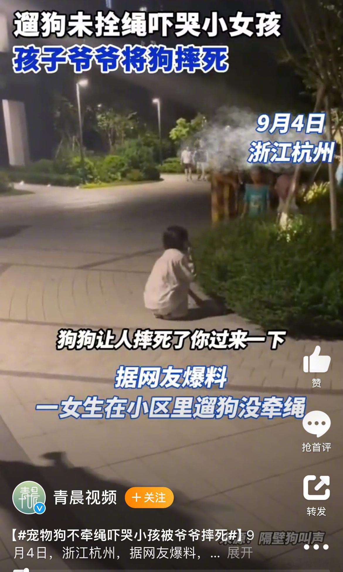 #宠物狗不牵绳吓哭小孩被爷爷摔死# 看来看去整件事情中最无辜的还是狗了。最近几年