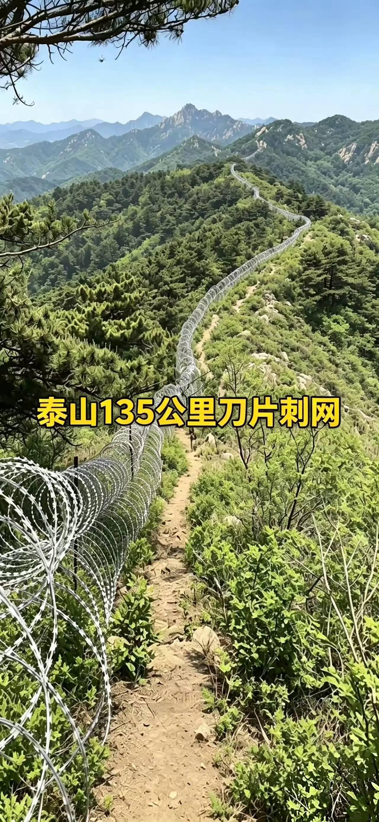 泰山景区刀片刺网非常刺眼，铁丝网不仅破坏自然景观和文化遗产，它更像边境线般冰冷强