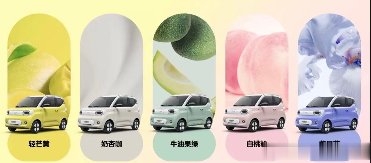 新款宏光MINIEV马卡龙，46800元，这个价格你觉得怎么样？
新款五菱宏光M