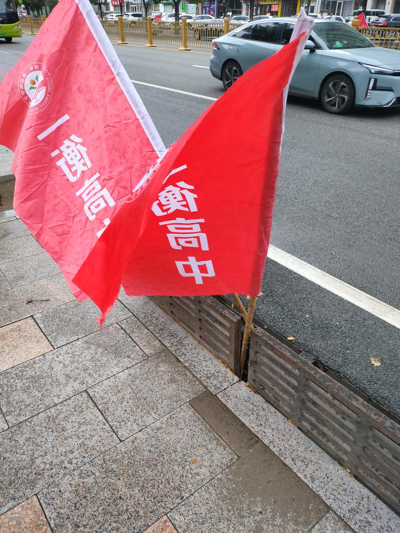 昨天看到马路两旁的渗水井又插上了小红旗。
这是夏季雨季的独有一景，提醒大家，或有
