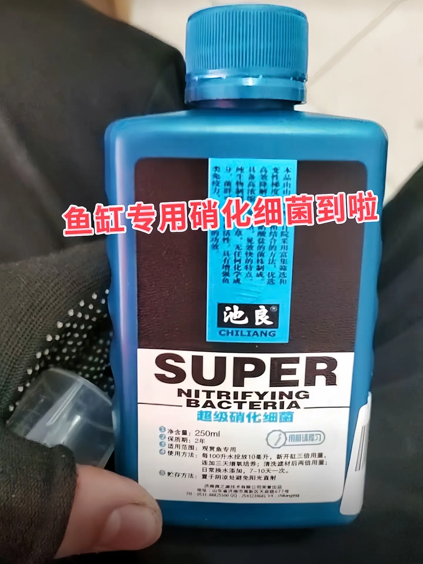 1. 告别浑水，拥抱澄澈|养鱼人的“水质净化神器”！这款硝化细菌，能快...