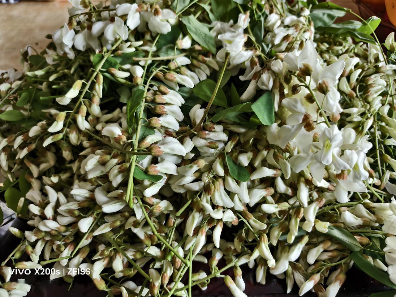 槐花开的和未开的,哪种更好吃呢?含苞待放的槐花更好吃。