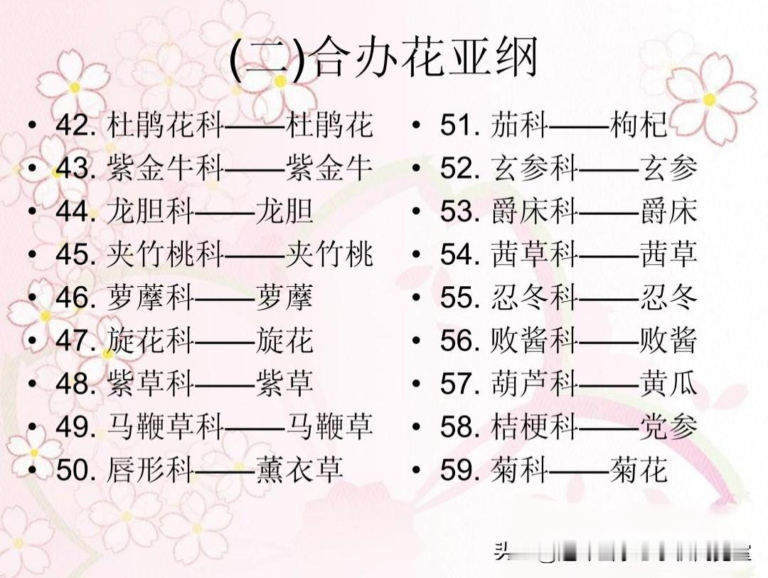 药植分类图鉴04