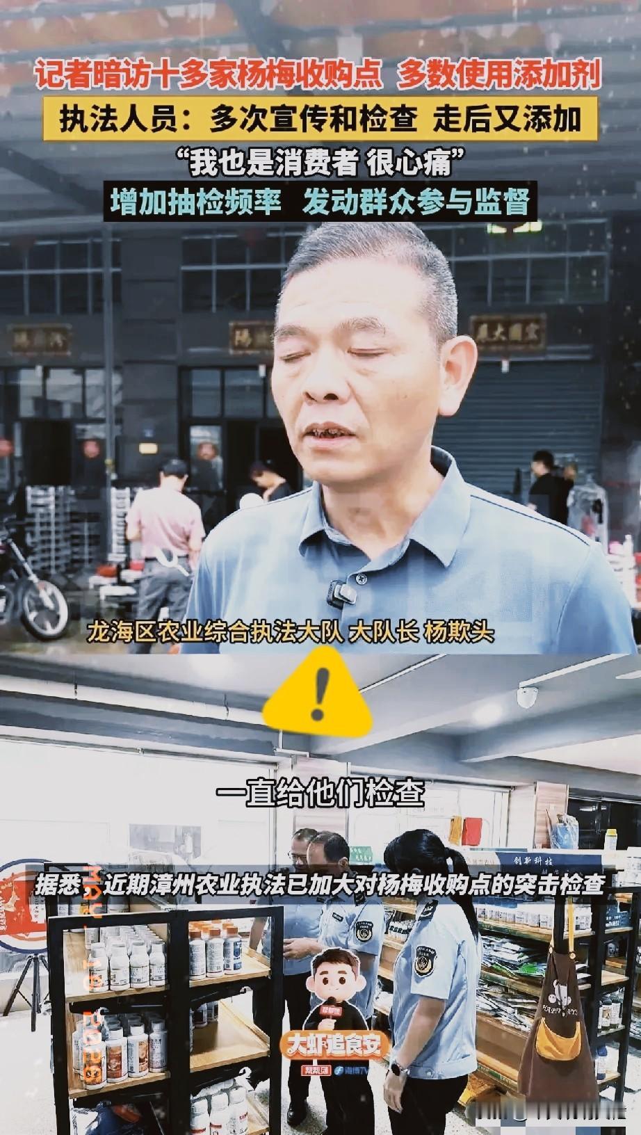 人人都不敢吃杨梅，一年血汗只换来烂果亏本！

漳州杨梅出事全网热议，最可怜的还是