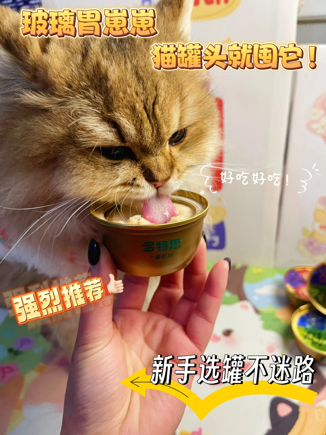 保护玻璃胃崽崽大作战｜跟软便说byebye
