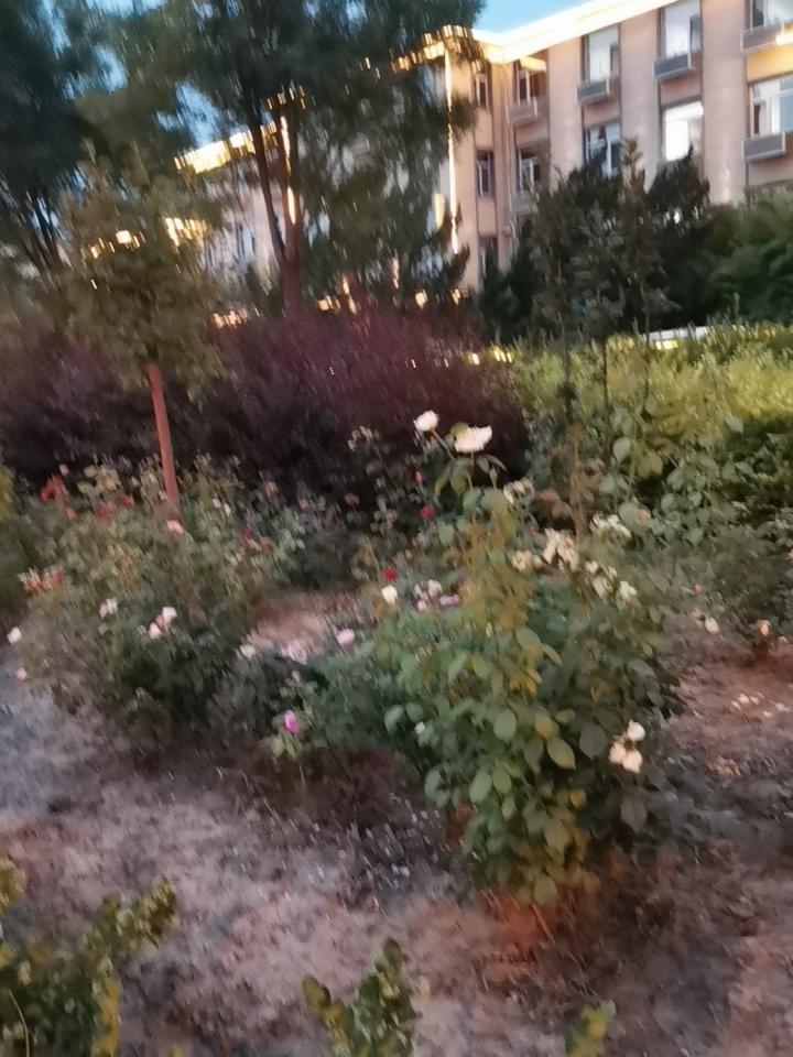 天色已晚，凉风习习，漫步在街道上。
散步美景随手拍 晚城市夜景照 黄昏前的景色 