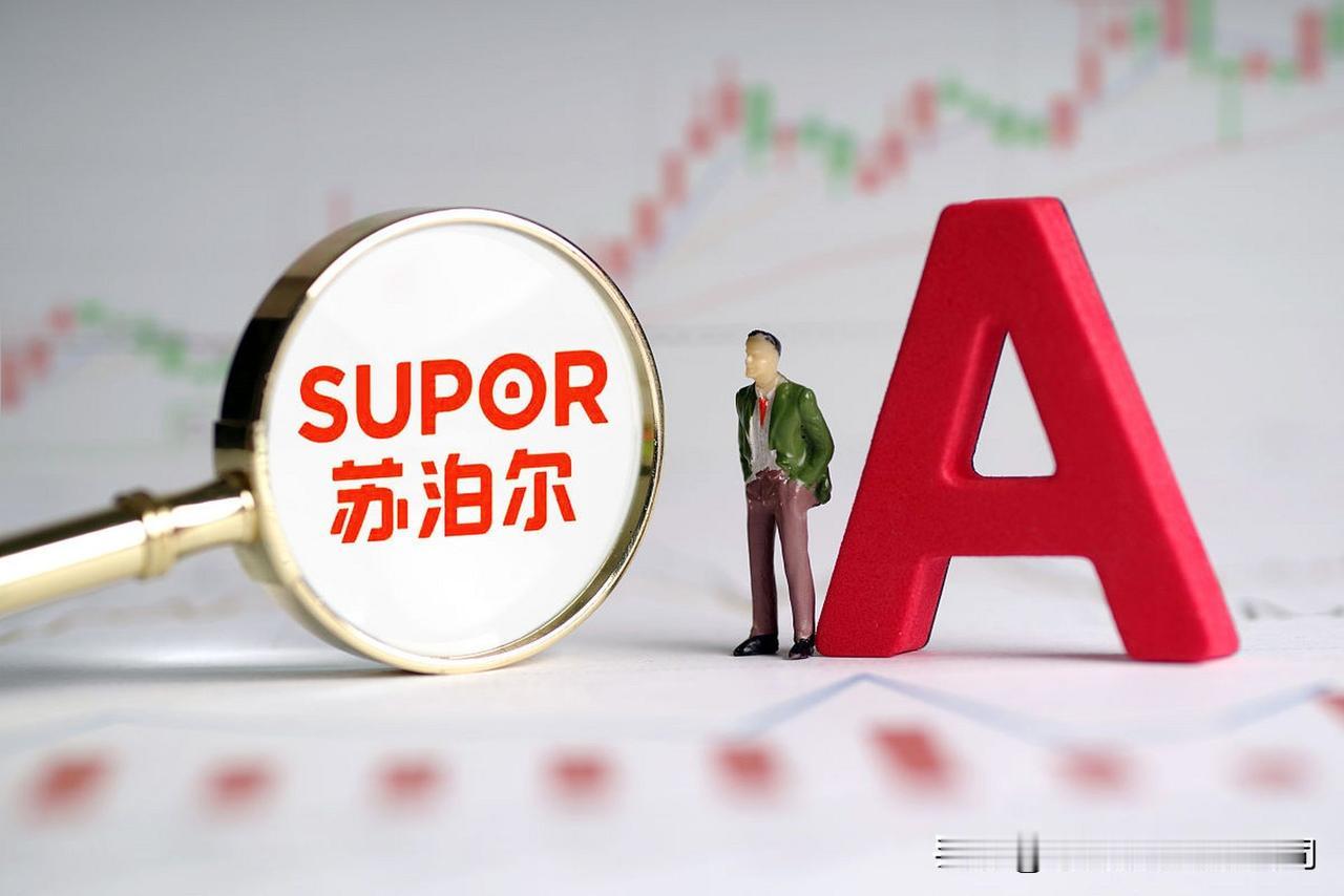 小家电第一股之苏泊尔

苏泊尔是中国厨房小家电领导品牌，总部位于浙江省杭州市，是