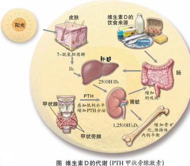 掉头发、睡不好、心情差是不是缺维生素D?
最近总掉头发、睡不踏实、情绪低落，是不