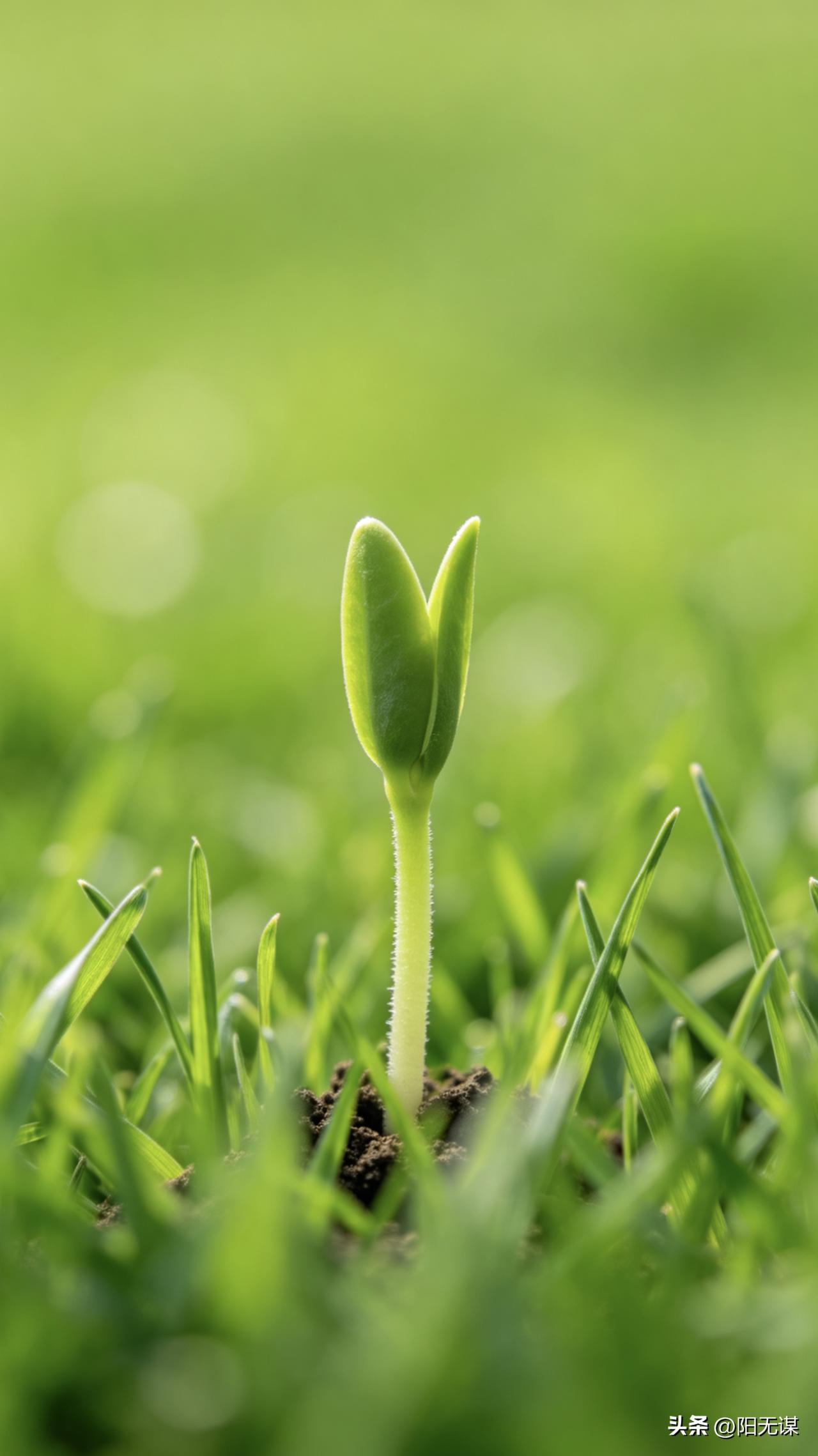 一位退休老人说：
 “这个世道，越来越让人看不懂了。女人越来越多，男人越来越少；