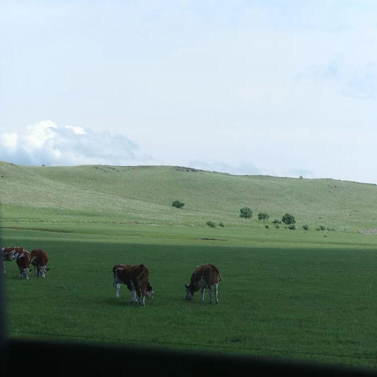朋友圈头像背景图搭配.ᐟ.ᐟ 