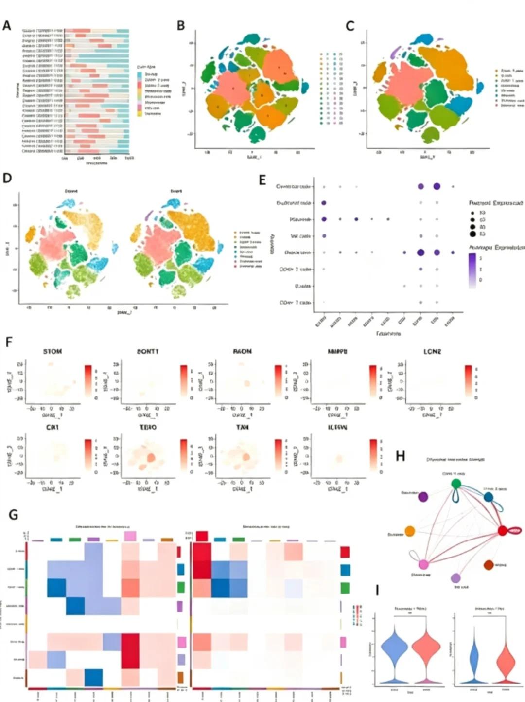 scRNA‑seq单细胞、肿瘤免疫多组学数据分析
擅长单细胞、转录组多维度解析，
