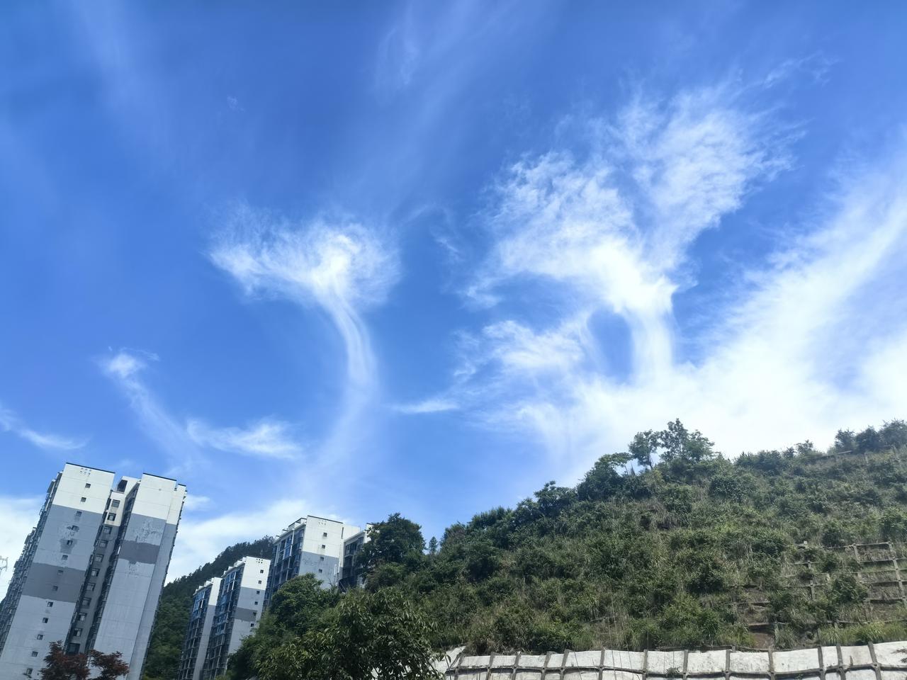 前往桑植县途中遇大美蓝天白云

[玫瑰][心][玫瑰]

去桑植县的路上，那蓝天