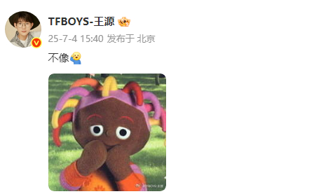 王源回应刺猬头像唔西迪西 王源回应刺猬头像唔西迪西也太可爱了吧，这波回应也是很萌