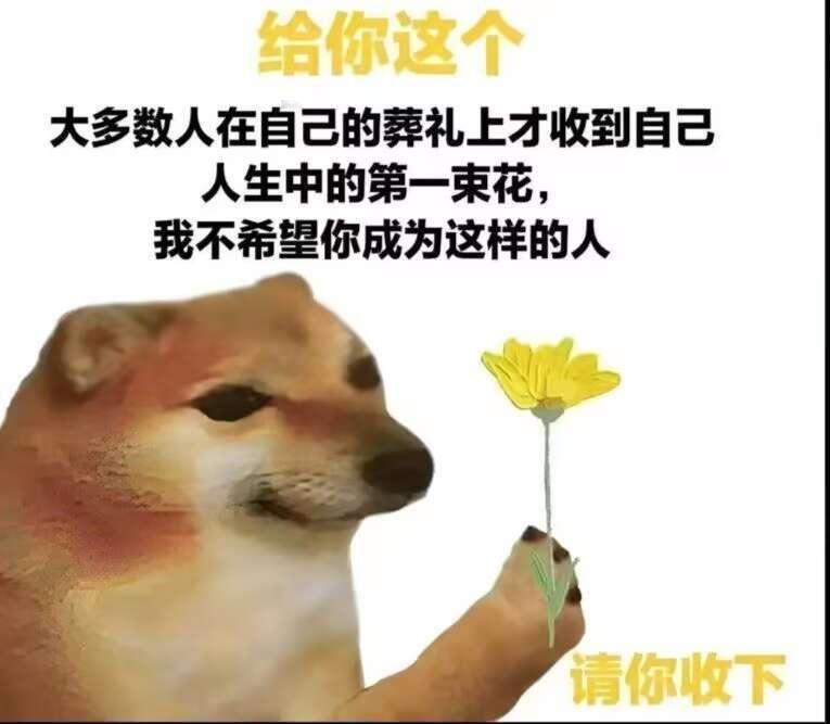 让我们说谢谢狗狗🫰 