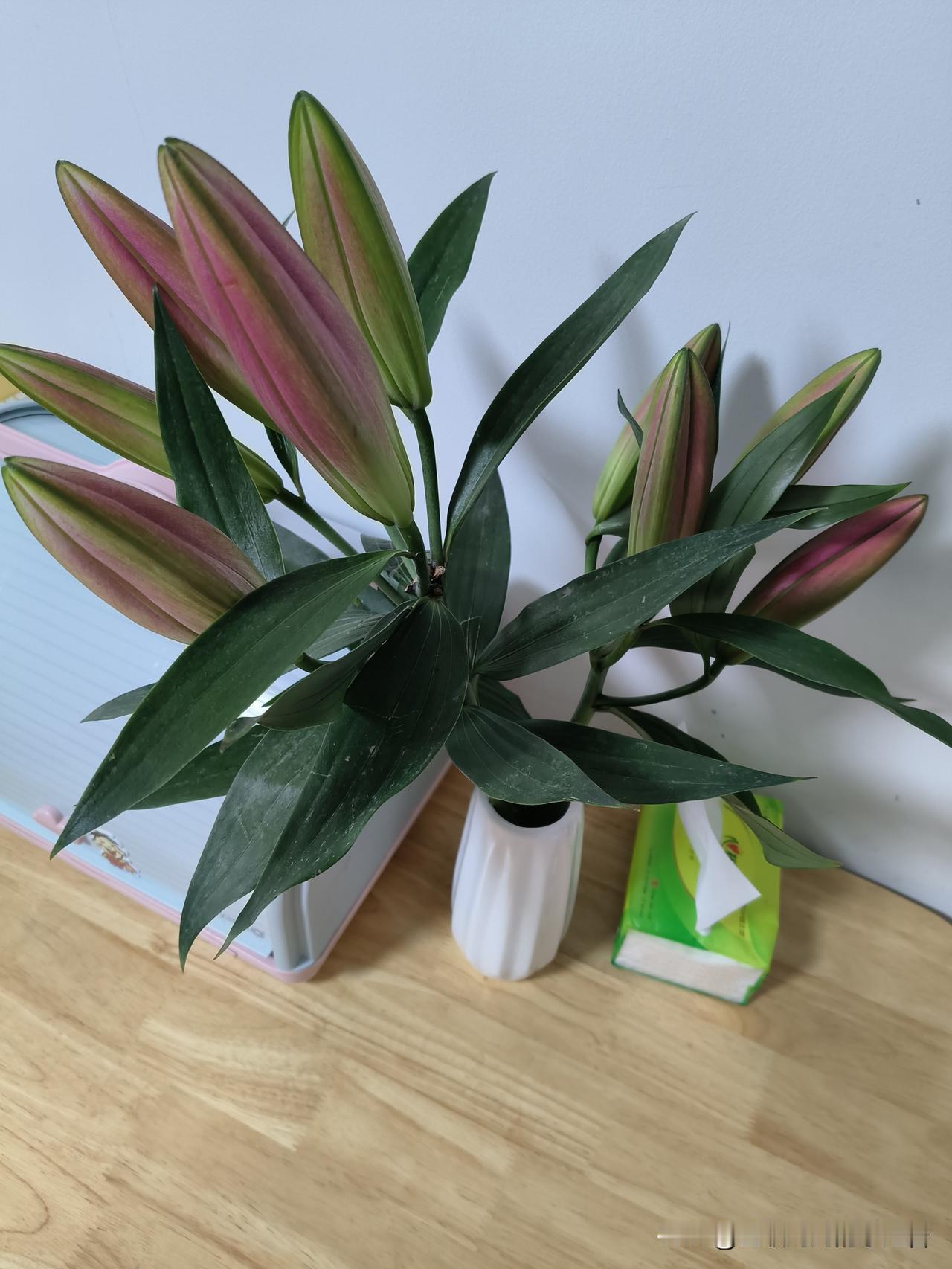 其实我是一个特别无趣的人。

不知道生活中有没有人和我一样，我没有什么特别喜欢的