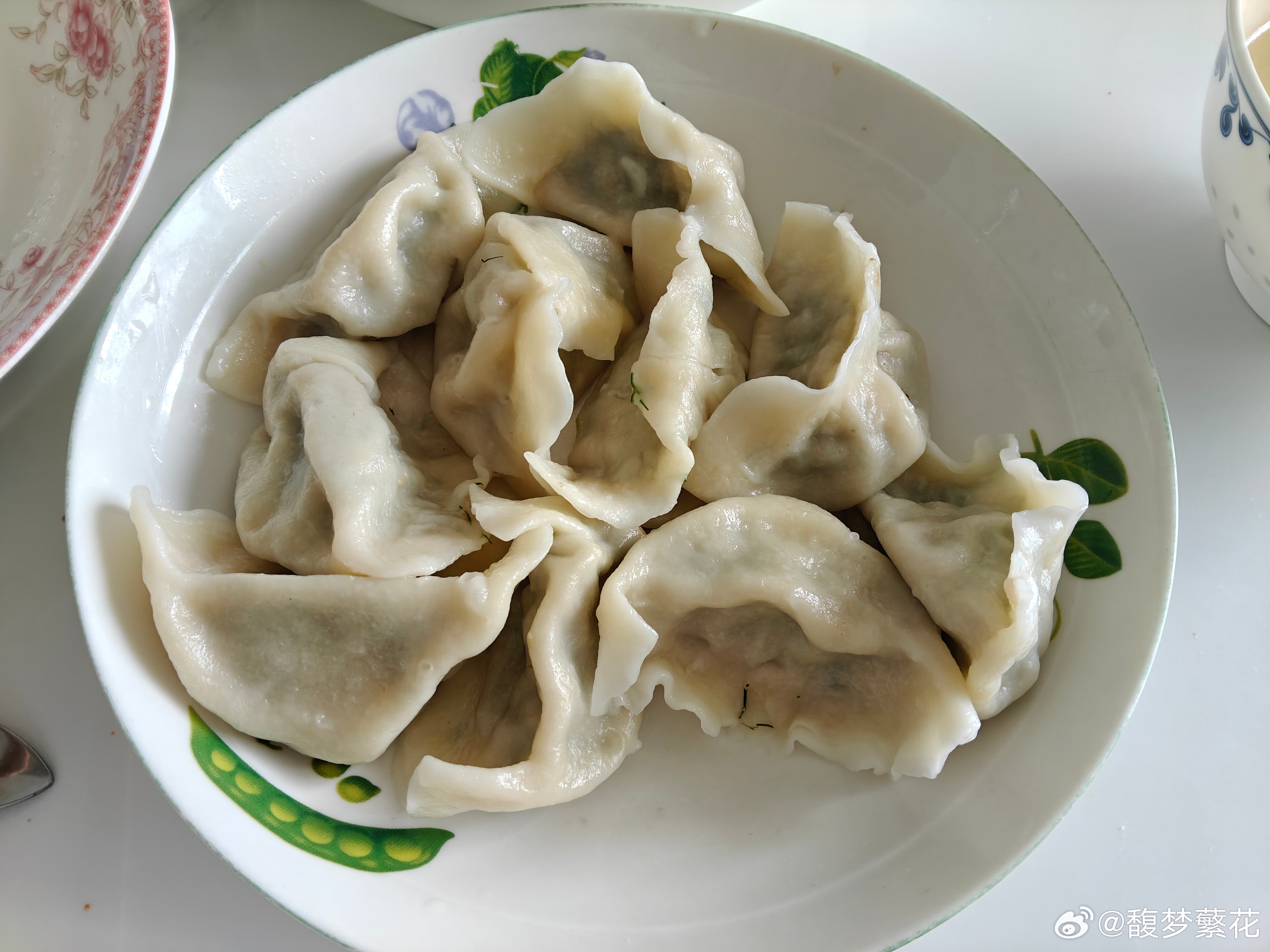 茴香肉饺子🥟真是太绝了 