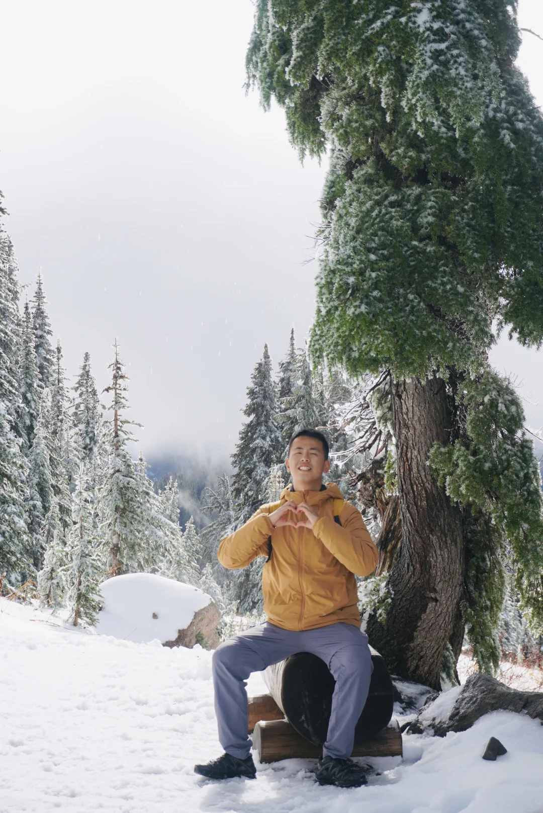 该不该感谢下特朗普呢？全美罢工景区免费