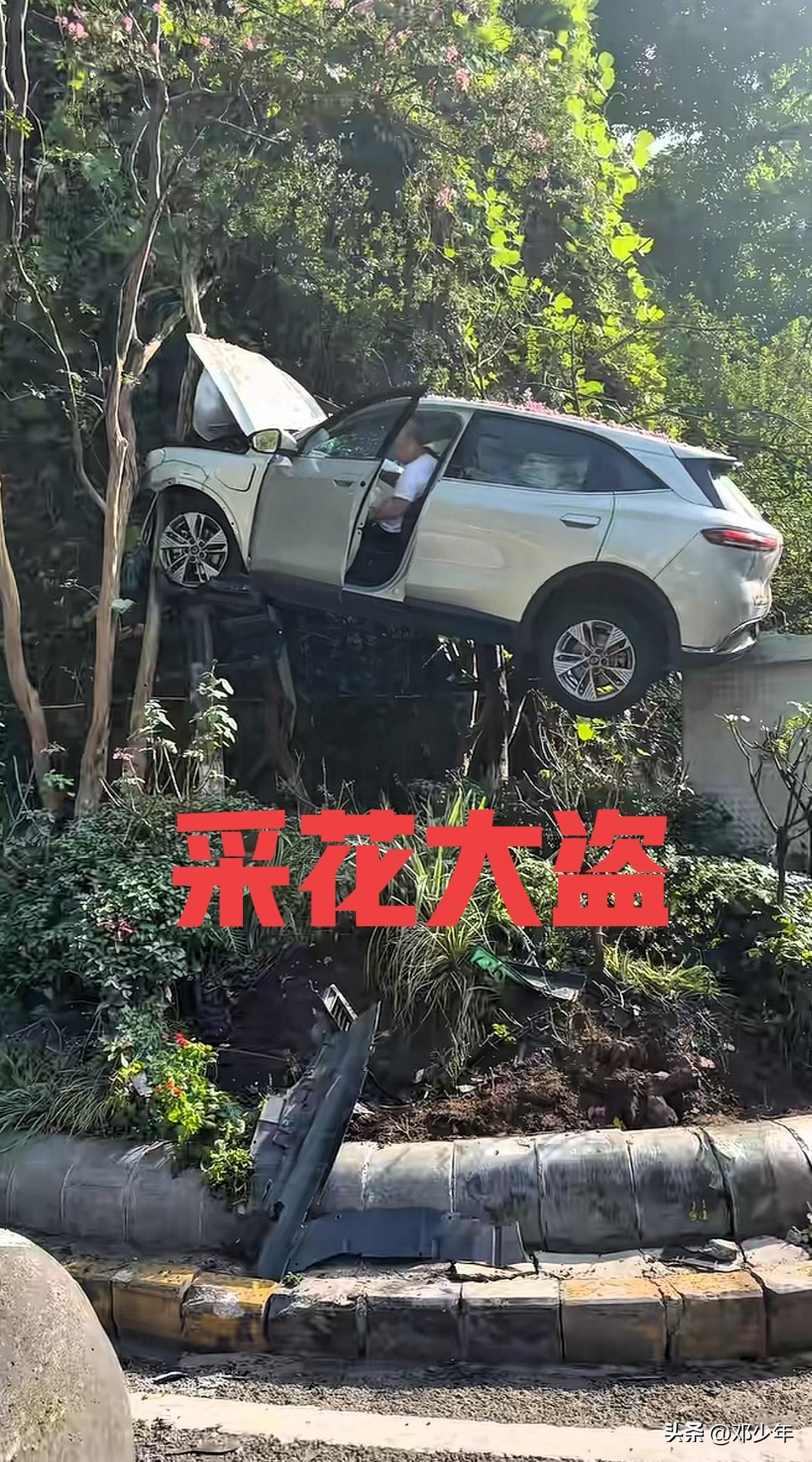 大哥，采个花没必要飞上去啊！