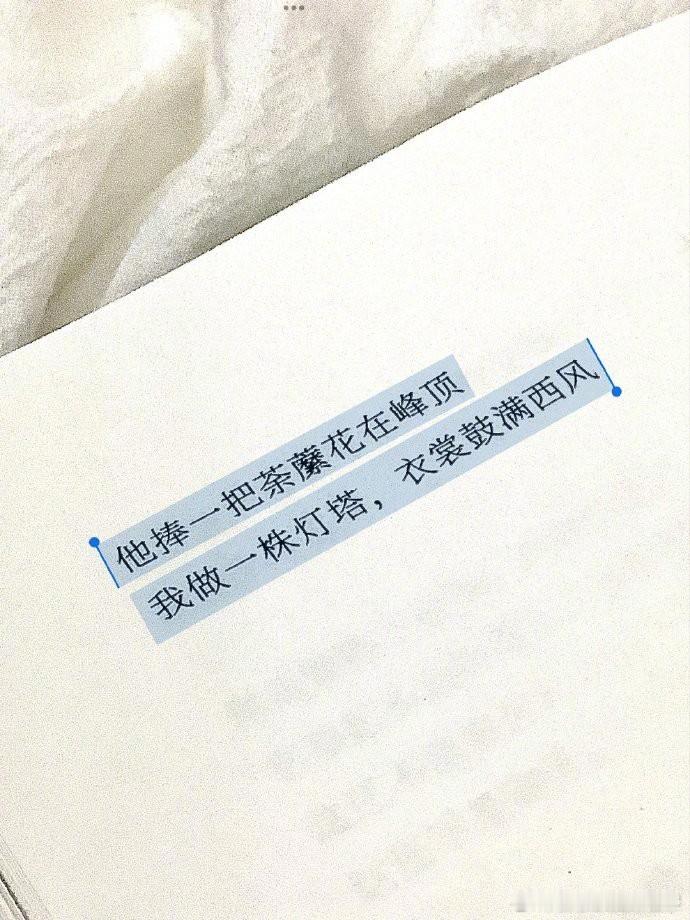 “而你，才是那个悬而未决的春事。”  是poemsforyou的《花和喷雾》  