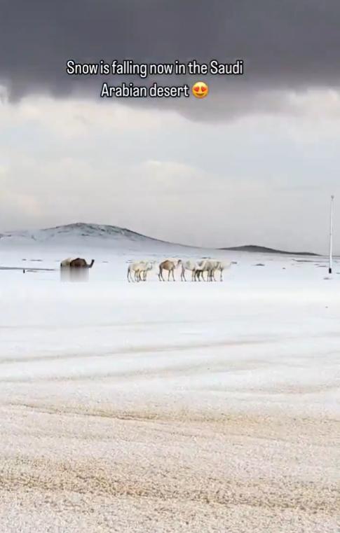 【沙特阿拉伯下雪了。】该国北部地区近30年来首次出现这种情况。 从西部的图瓦伊克