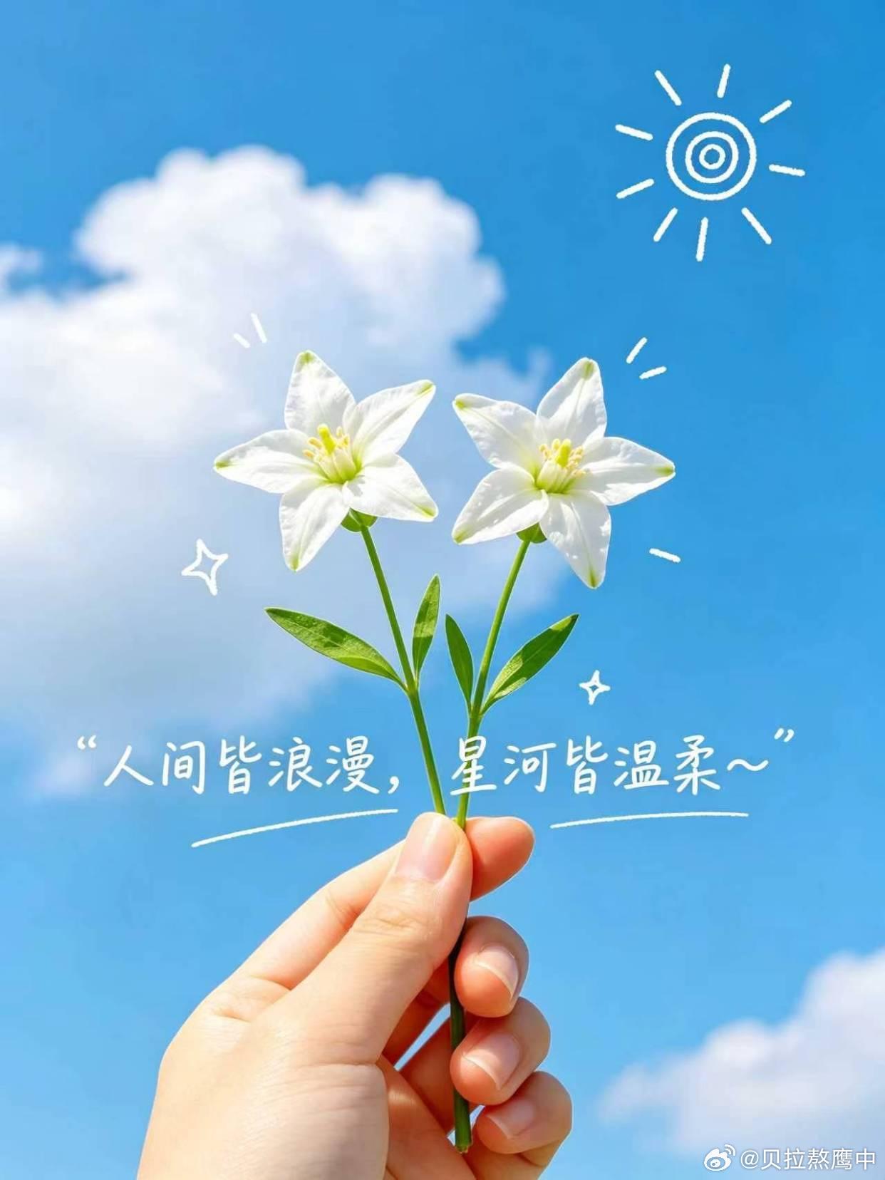 阳光信用 人之所以疲惫烦恼，大多是执念太深。越在意的人和事，越容易困住自己。学会