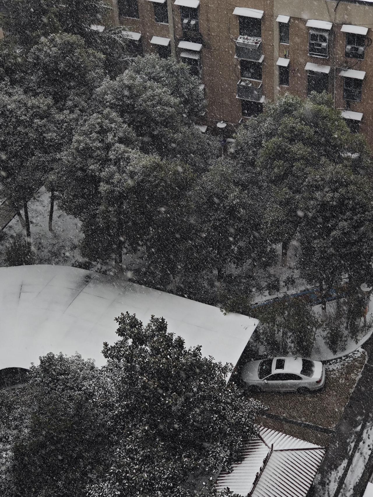 武汉这个雪有点大啊，从昨晚下到现在还没听，高架上面车都是龟速，大家今天早上迟到了