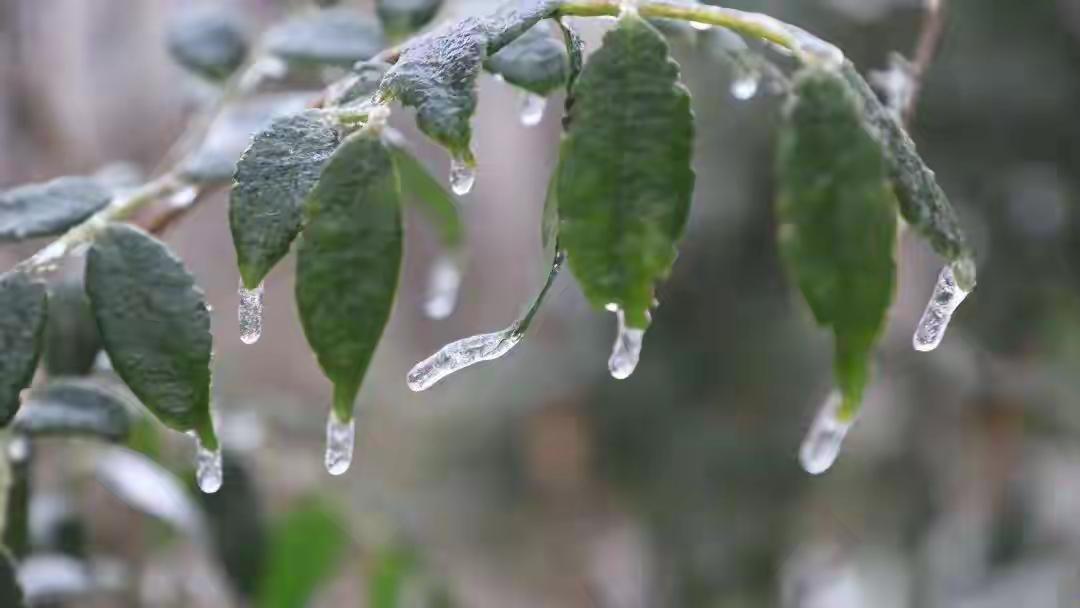 【完整榜单：河南将迎大范围雨雪，事关你我生活的每一刻！】

近日，一份刚刚出炉的