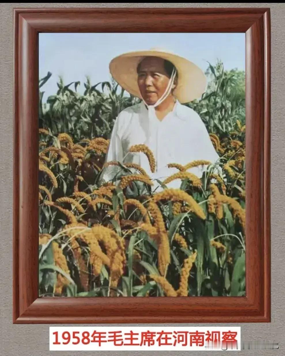 实事求是的讲毛主席是反对大跃进浮夸风的！