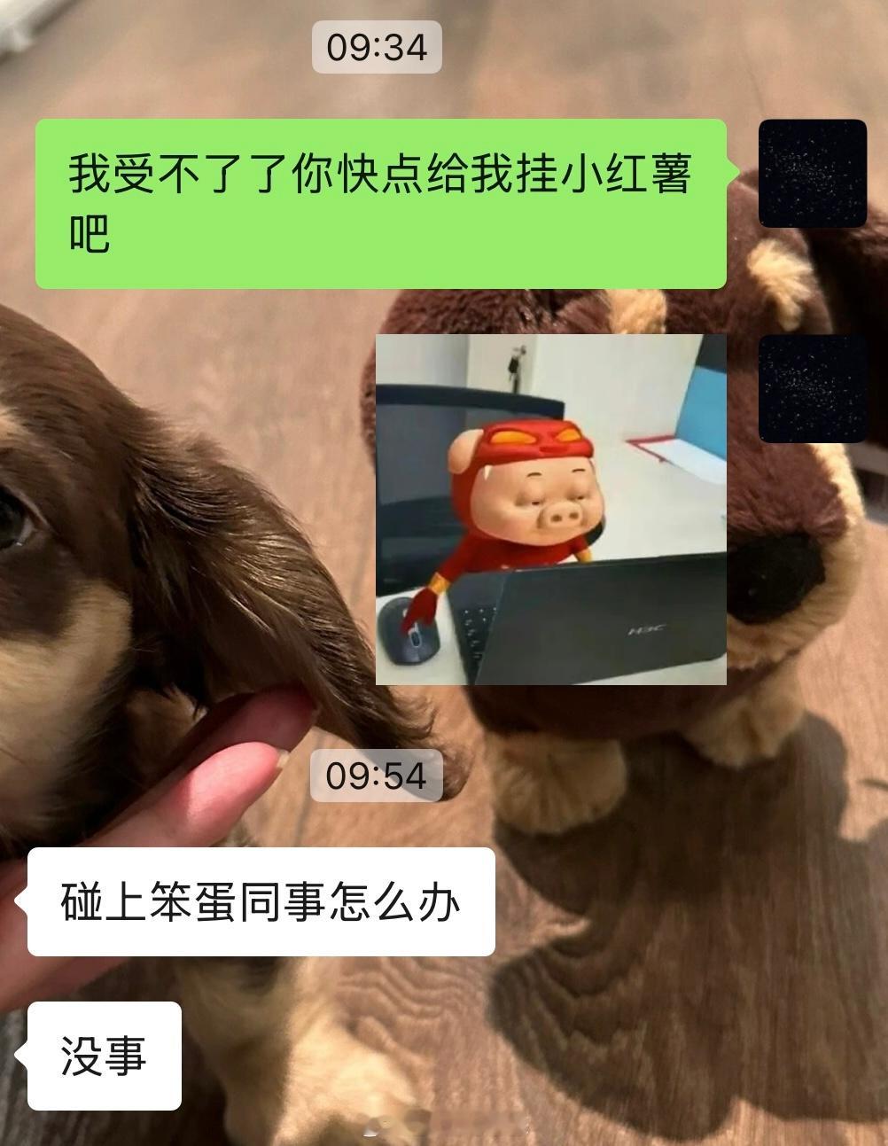 人已经死了一会了 ​​​