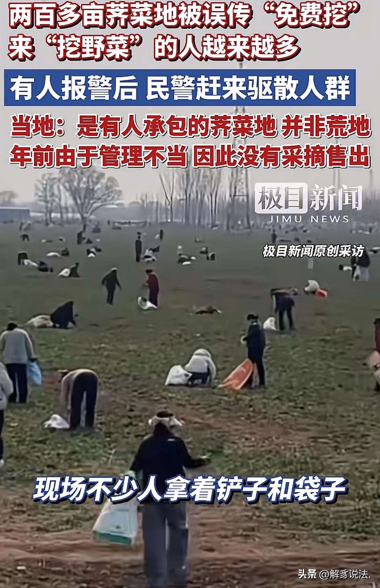 “居心不良 ”河南，有人在在网上发视频，说有块地可以免费挖野菜，视频很快在网上传