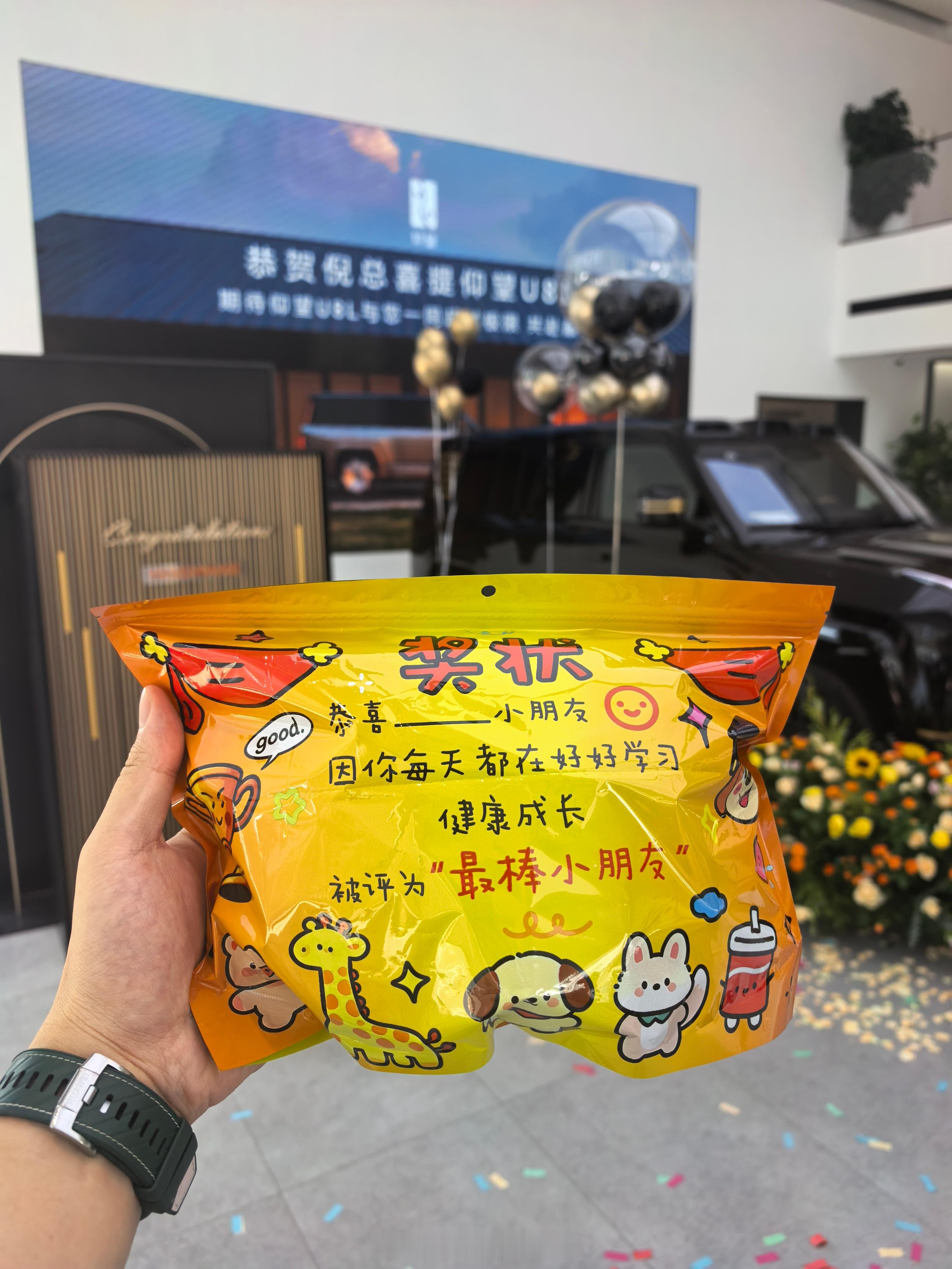 儿童节 这个六一 我这个30来岁的大朋友收到了仰望的儿童节礼物 仰望我和汽车的日