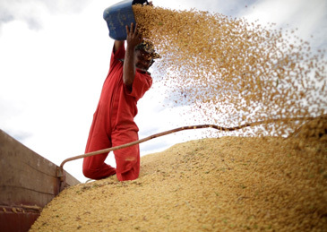 【#美方着急中国还不买大豆# 】#美方眼巴巴都3月了中国还不买# 彭博社12日报