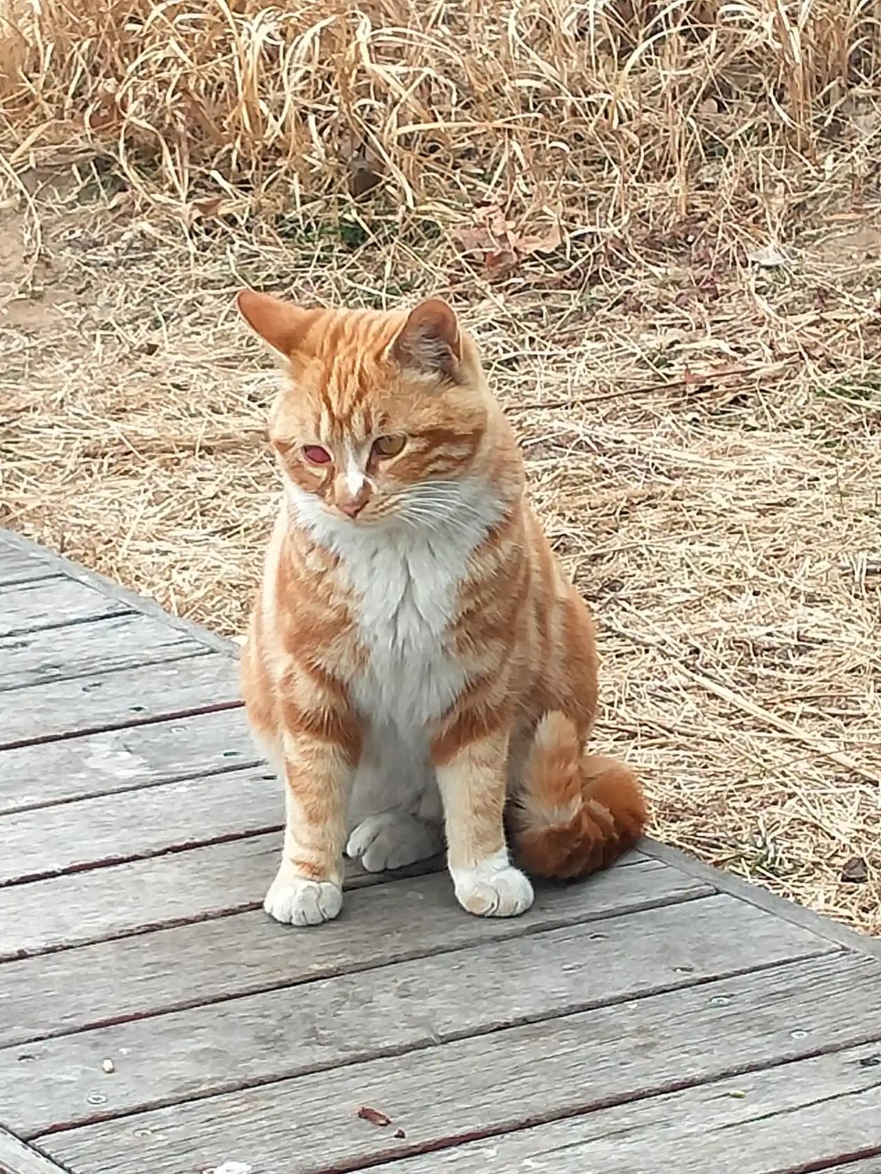 反客为主，这到底谁是保姆啊？