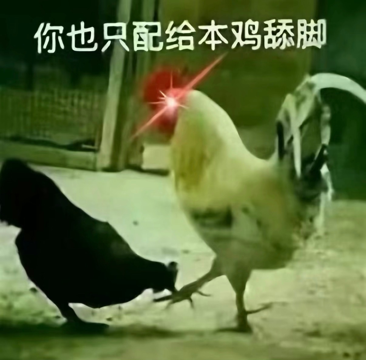 反嘿为什么会和线面一样繁殖 每当我以为今天做完了 马上就又来了。气得我哎呀 一个