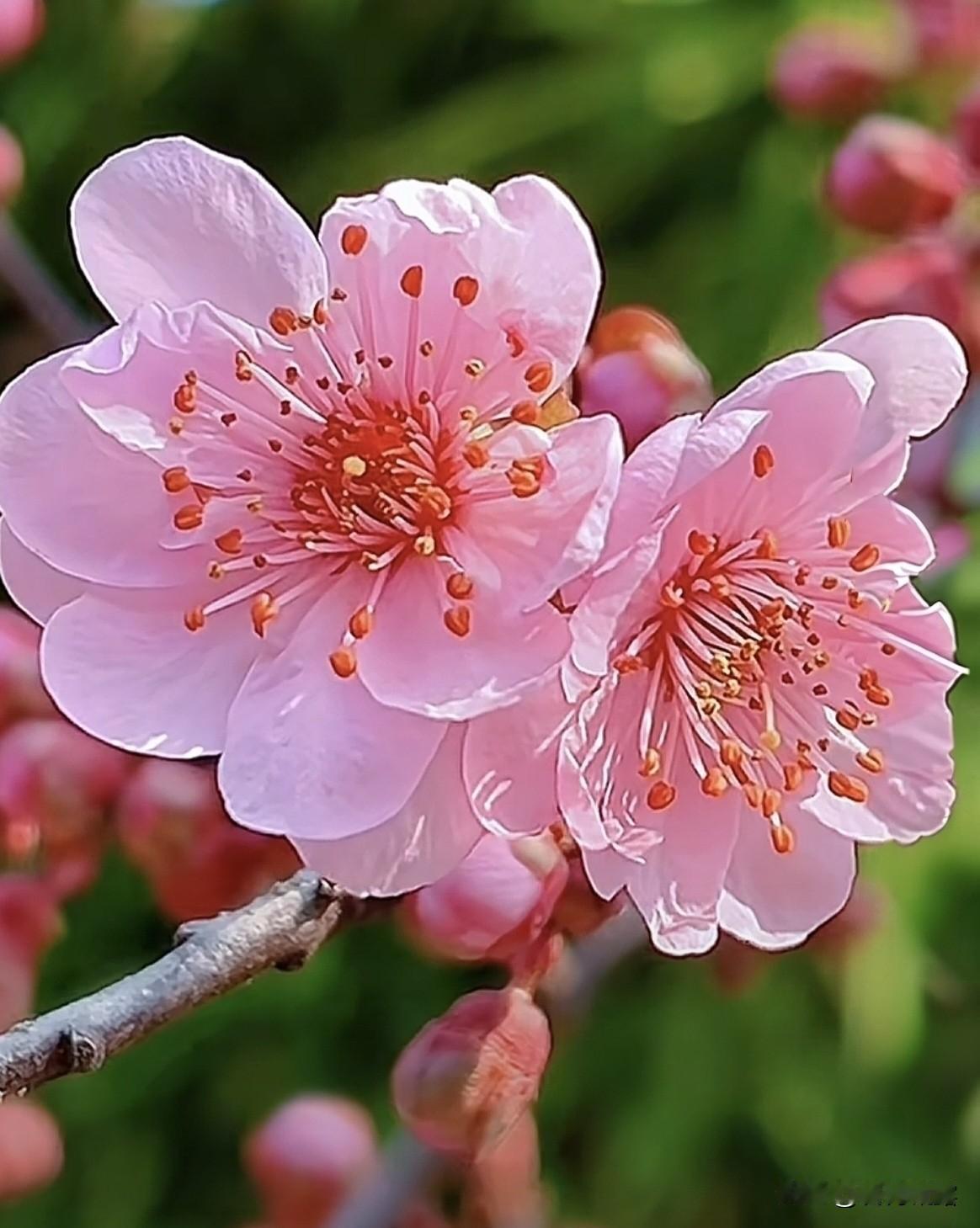 四月风光正好，万物温柔可爱。愿我们保持热爱，向阳而行，不负春光，不负自己。