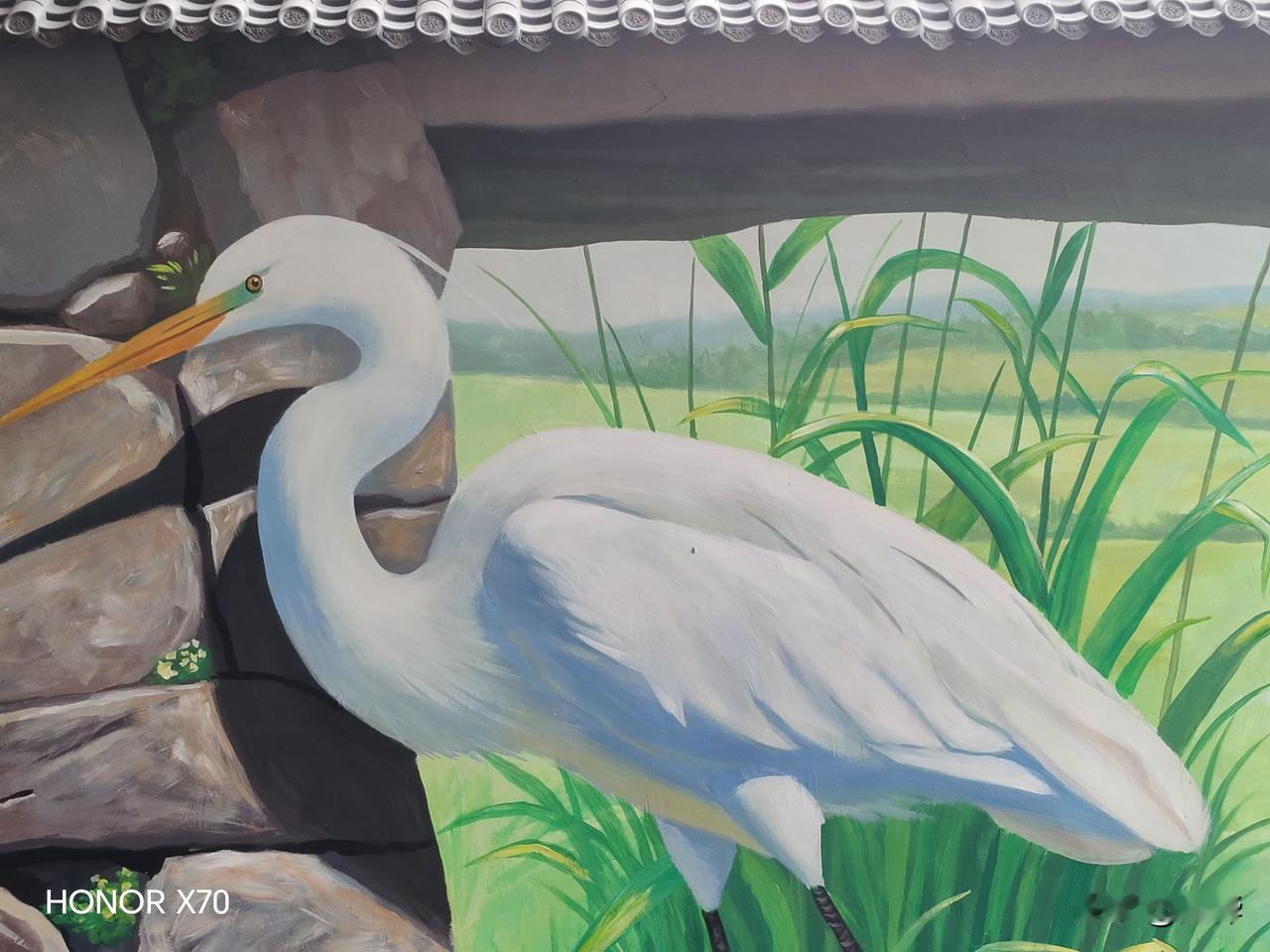 今天上午去了广东佛山南海区桂城江滨公园的平洲湾观海长廊看风景，平洲湾观海长廊风景