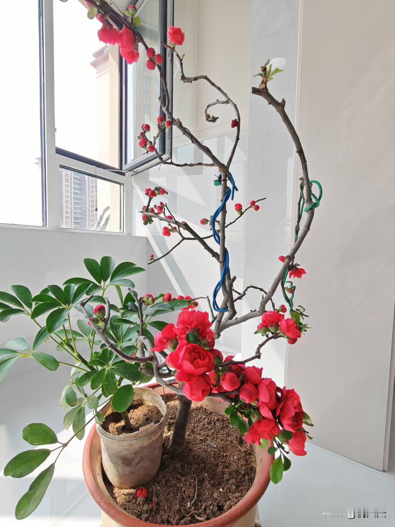 人民日报已经提出关键建议了：
婚前全款房产，婚后加伴侣的名字，如果离婚后，不再单