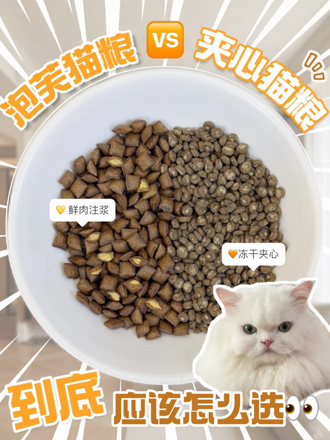 普通夹心粮🆚泡芙猫粮，看完就知道怎么选了