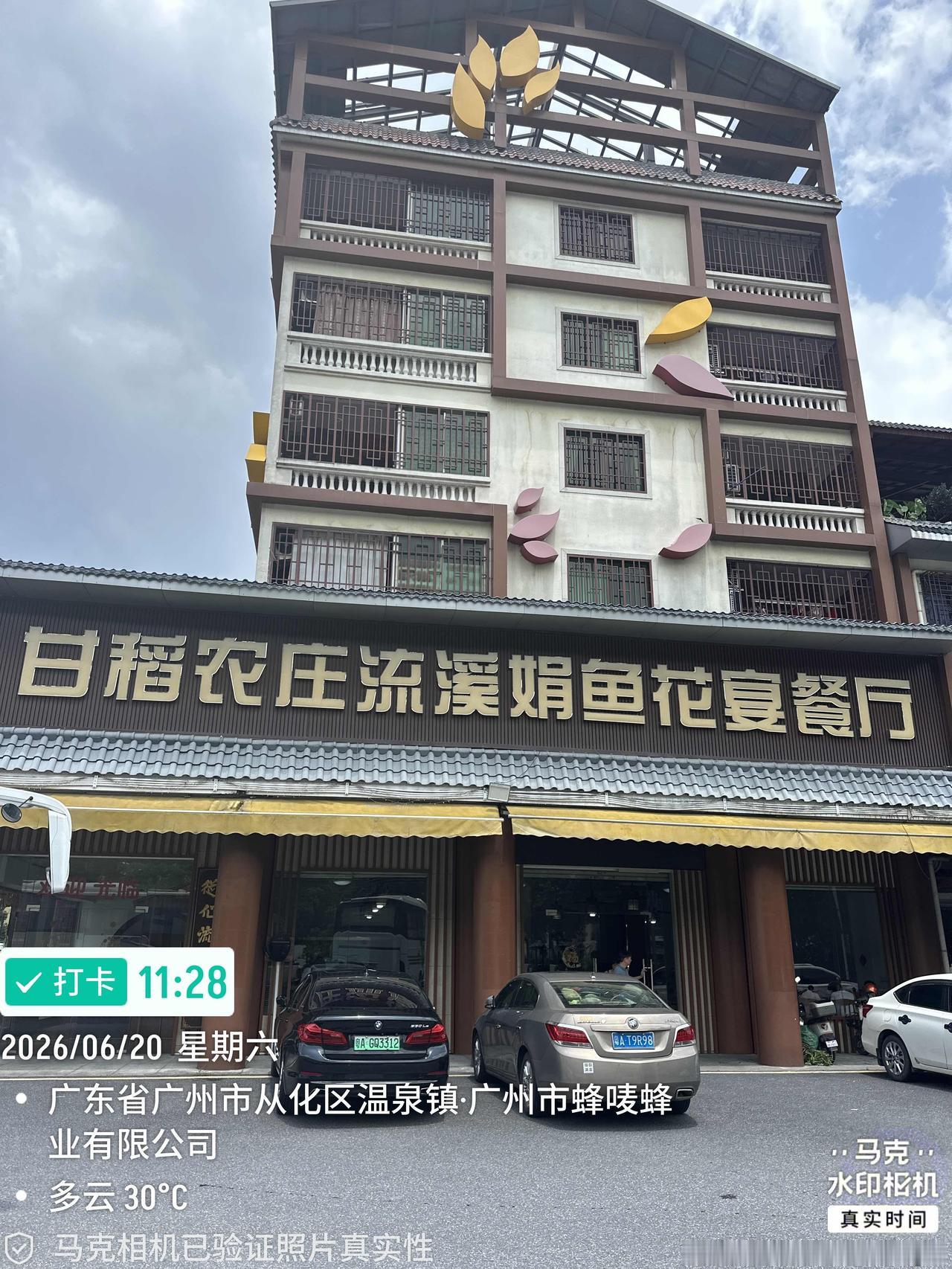 2019年第一次品尝“流溪娟鱼”，地点就是今天午餐的餐厅——甘稻农庄，此后每年都
