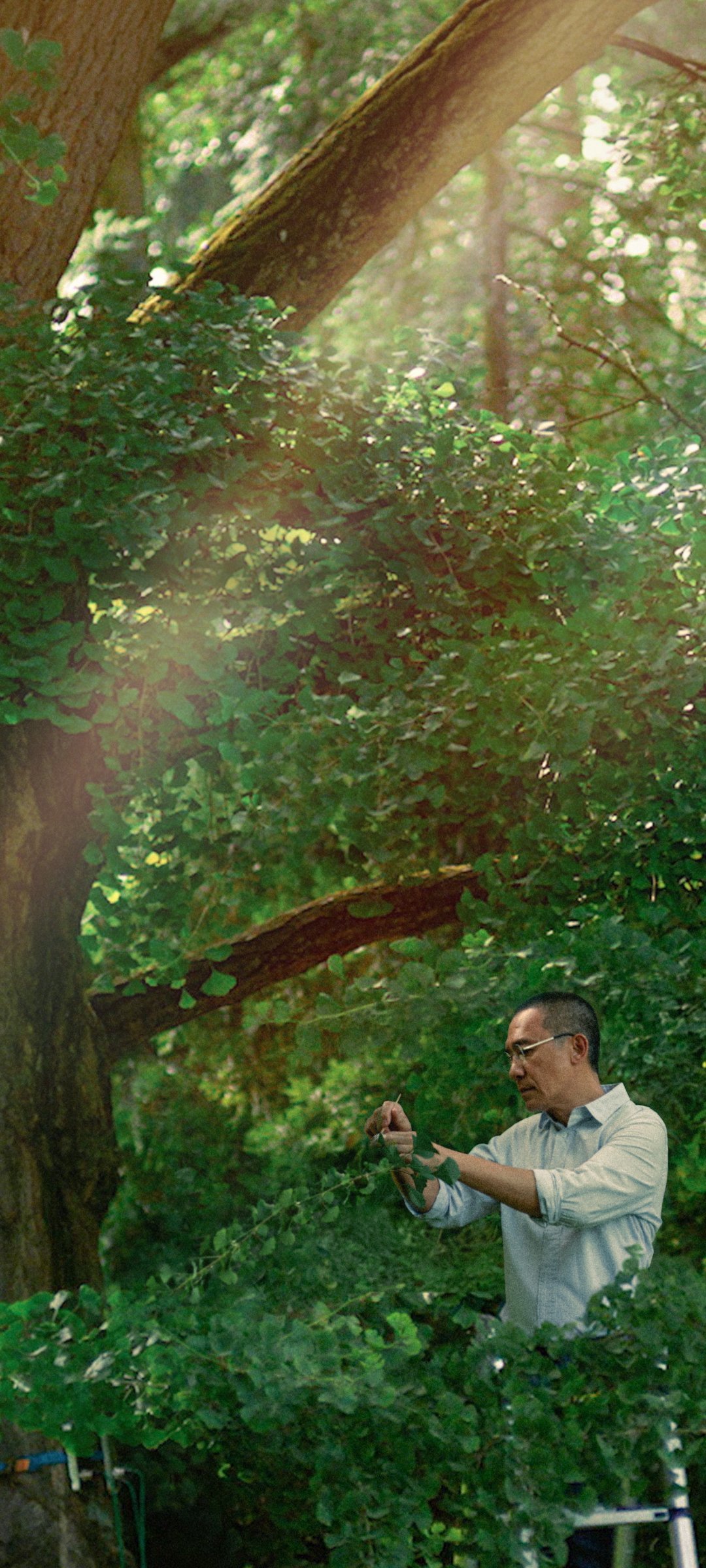 《寂静的朋友》韩国片方发布四张手机壁纸寂静之美，引起极度舒适🌳 