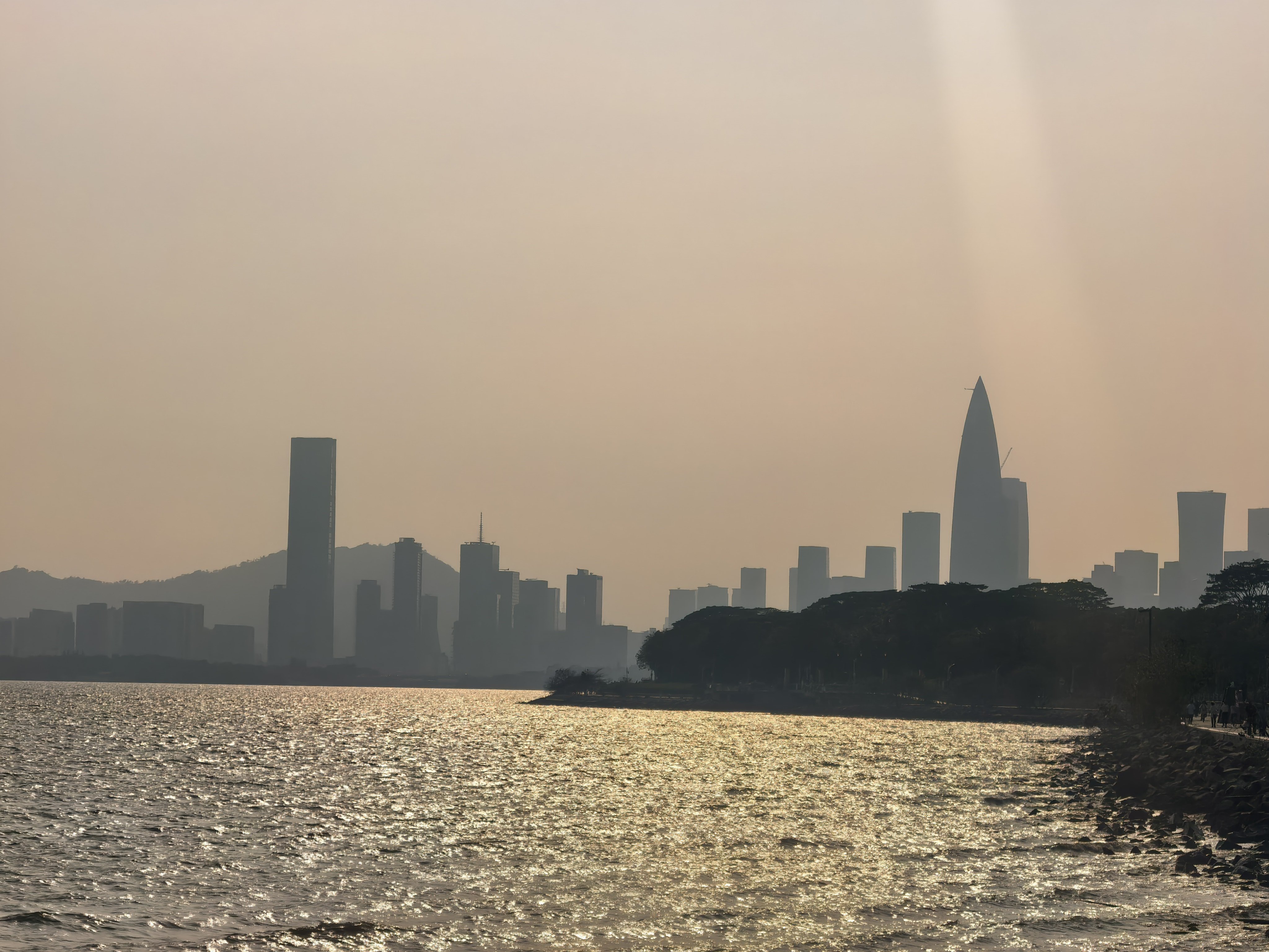 深圳湾公园 深圳·深圳湾公园