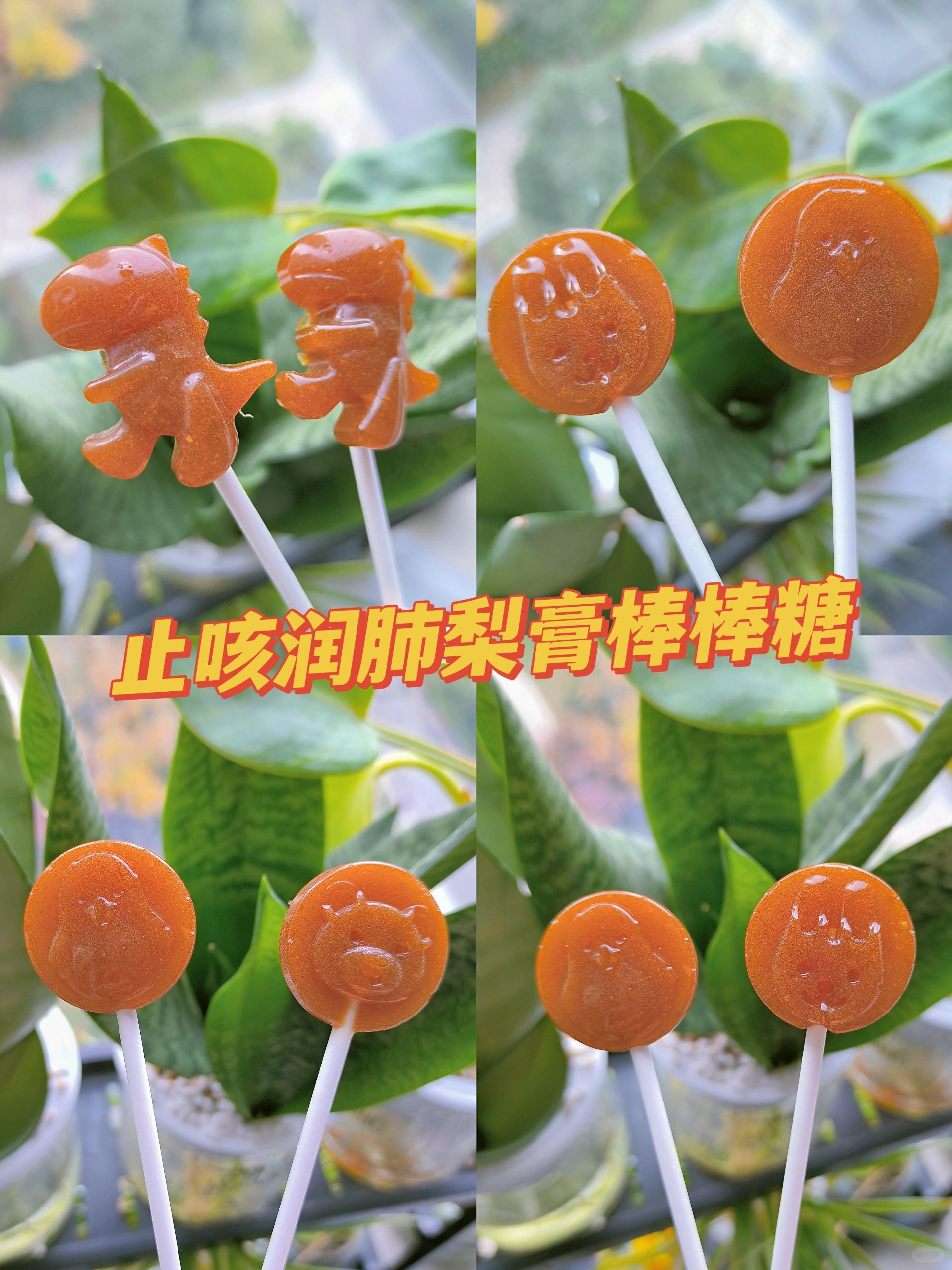自制止咳润肺梨膏棒棒糖